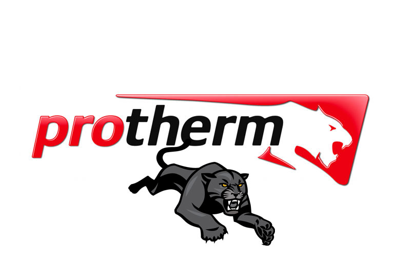 Ремонт газовых котлов Protherm